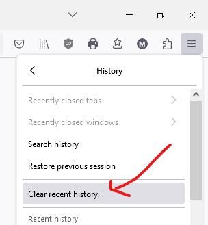 firefox clean recent history
