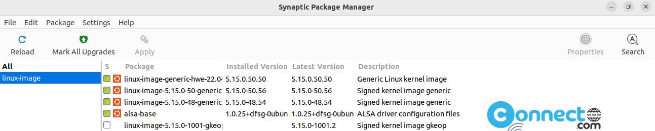 synaptic kernels