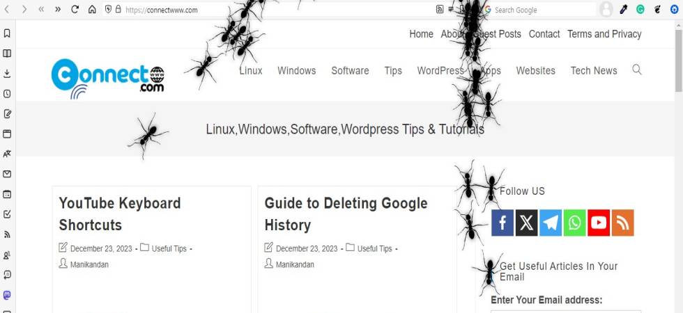 ants in your desktop