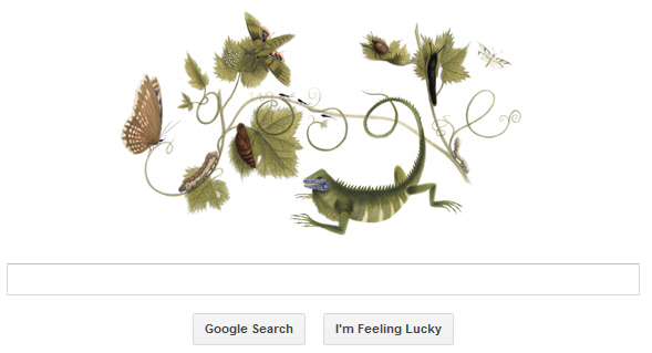 Maria Sibylla Merian's 366th birthday google doodle