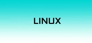 Read more about the article How to install Bodhi Linux on Oracle virtualbox