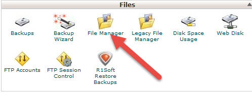 Cpanel file manager v3 backup website