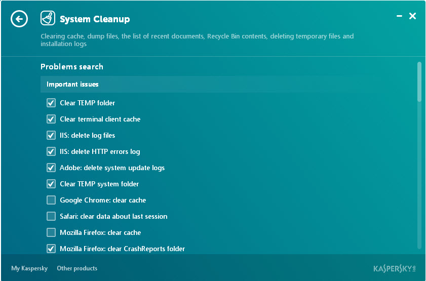 kaskpersky cleaner system cleanup option