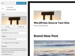 Read more about the article WordPress 4.5 Beta 1 released