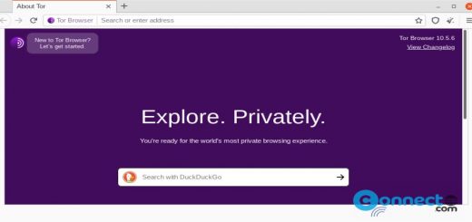 Tor browser home