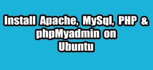 Read more about the article How to install and configure Apache,PHP,MySql and phpMyadmin (LAMP) on ubuntu