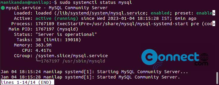 mysql server status