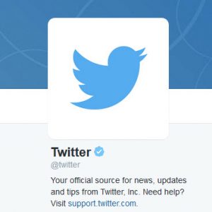 Read more about the article How to get a Verified Twitter Account