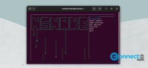 Read more about the article 4 Best Ubuntu Linux Command Line Games