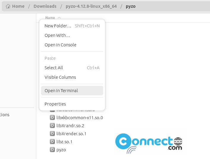 Pyzo open in terminal