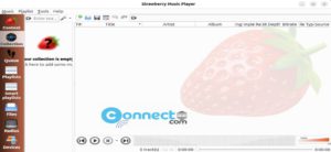 Read more about the article How to Install Strawberry Music Player on Ubuntu