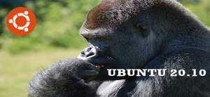 Read more about the article Ubuntu 20.10 Codename Groovy Gorilla and Release Schedule