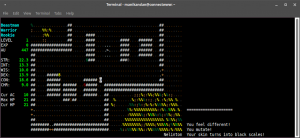 Read more about the article How to install Zangband on Ubuntu – Free roguelike game