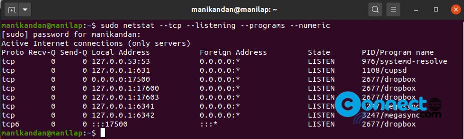 netstat check open ports