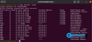 Read more about the article How to Check All Open Ports in Ubuntu Linux