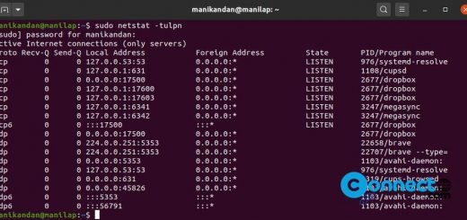 Check All Open Ports in Ubuntu Linux