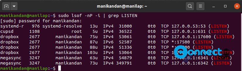 Check All Open Ports in Ubuntu Linux