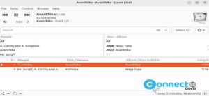 Read more about the article Quod Libet Audio Player and Tag Editor – Install Quod Libet on Ubuntu
