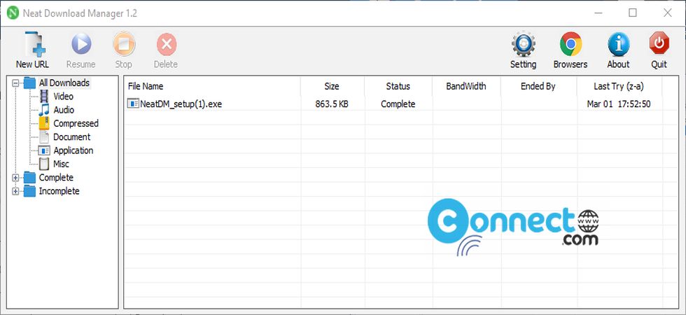 neat download manager extension