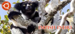 Read more about the article Ubuntu 21.10 Codename Impish Indri and Release Schedule
