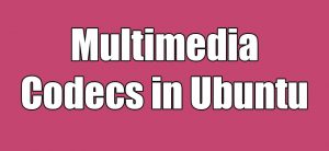 Read more about the article How to Install All Multimedia Codecs in Ubuntu Linux