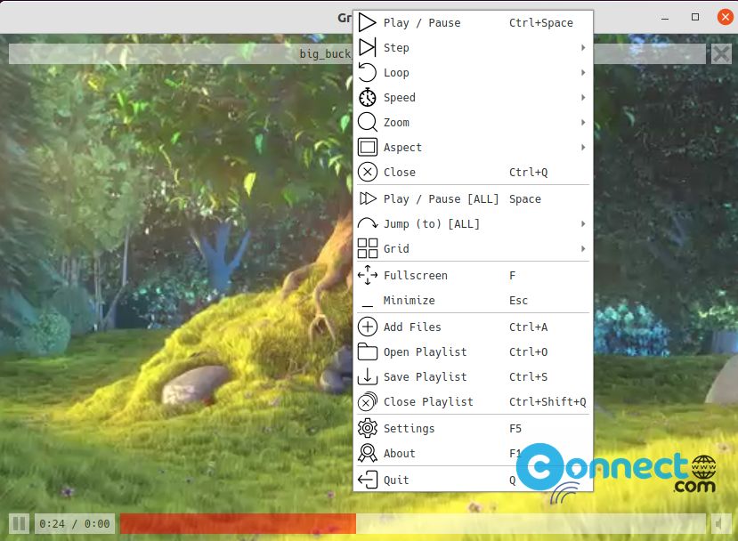 GridPlayer media player