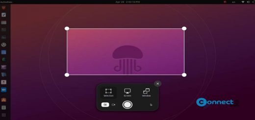 Ubuntu Screenshot Screencast Tool