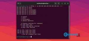 Read more about the article fping Ping Tool for Linux
