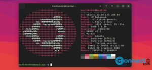 Read more about the article Black Box Terminal Emulator Application for Linux