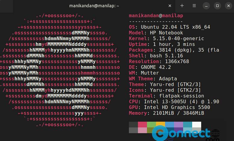 Black Box Terminal Emulator