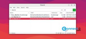 Read more about the article FSearch Fast File Search App for Linux