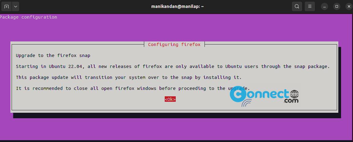 firefox snap config