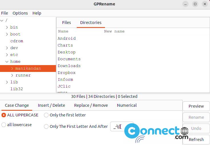 GPRename Batch File Renamer