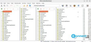 Read more about the article 4pane File Manager Application for Linux