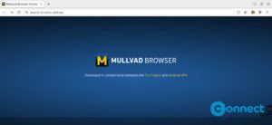 Read more about the article Mullvad Browser – Privacy Browser for VPN