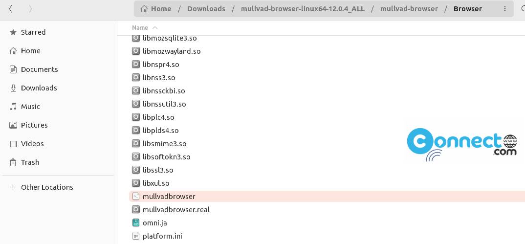 Mullvad Browser program file