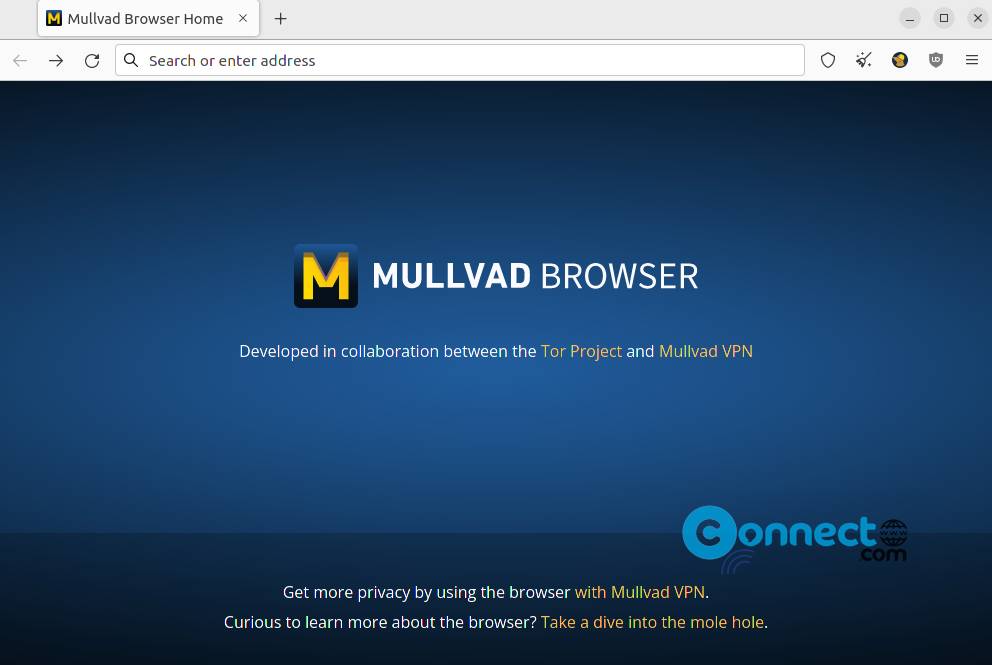 Mullvad Browser