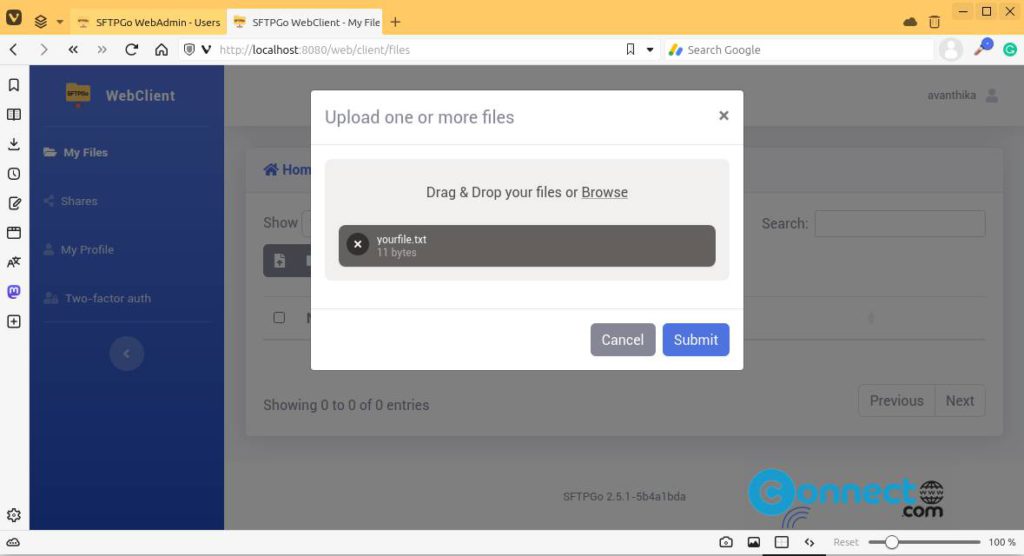 How to Install and Setup SFTPGo SFTP Server on Ubuntu | CONNECTwww.com