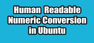 Read more about the article Human Readable Numeric Conversion using Numfmt in Ubuntu