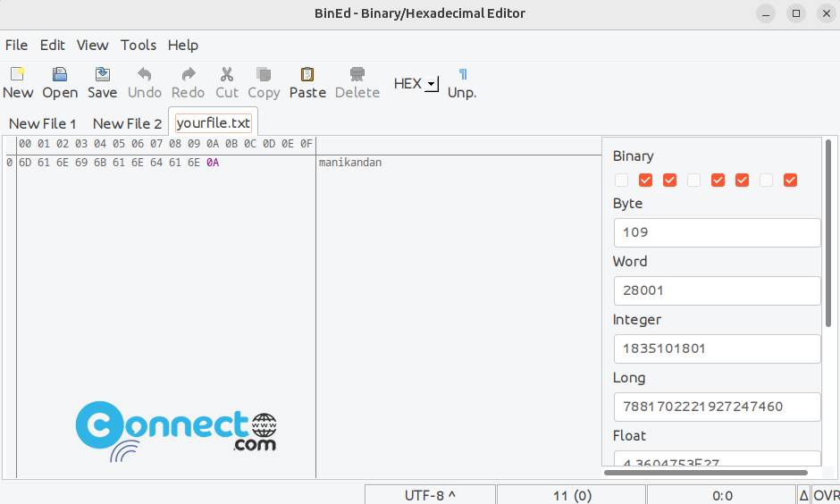 BinEd Binary Hexadecimal Editor