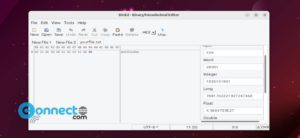 Read more about the article BinEd Binary Hexadecimal Editor