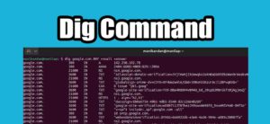 Read more about the article Dig Network Command line Tool