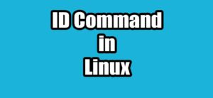 Read more about the article ID Command in Linux