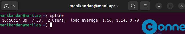 Uptime command