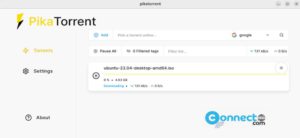 Read more about the article PikaTorrent BitTorrent Application