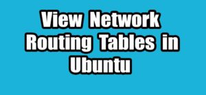 Read more about the article How to Check and Analyze Network Routing Tables in Ubuntu