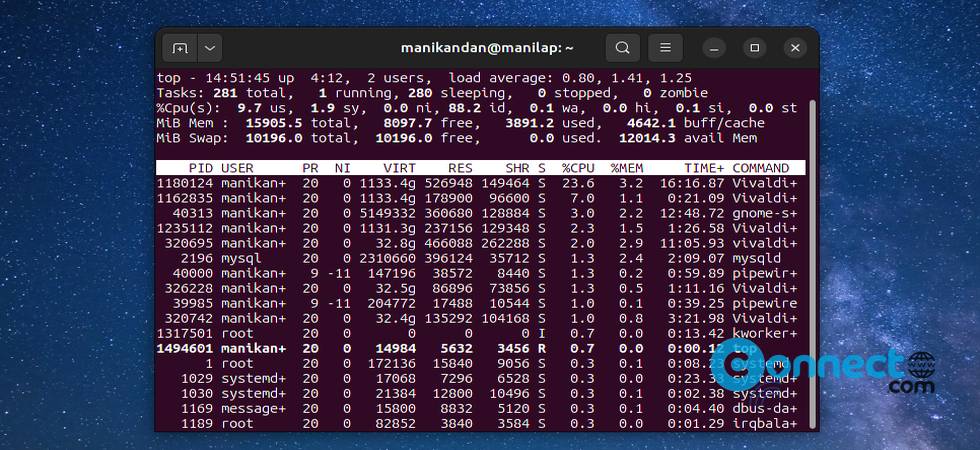 How to Check Swap Space in Ubuntu Linux | CONNECTwww.com