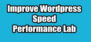 Read more about the article How to Improve WordPress Speed Using Performance Lab
