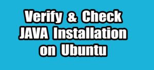 Read more about the article Verify and Check JAVA Installation on Ubuntu