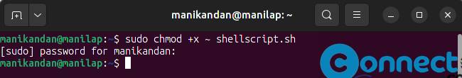 execute shell script